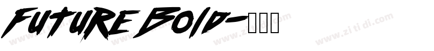 Future Bold字体转换